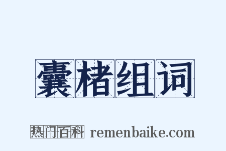 囊楮组词是什么意思的图片